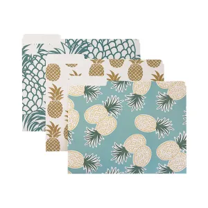 Hawaii Pineapples File Folders, Set of 3
