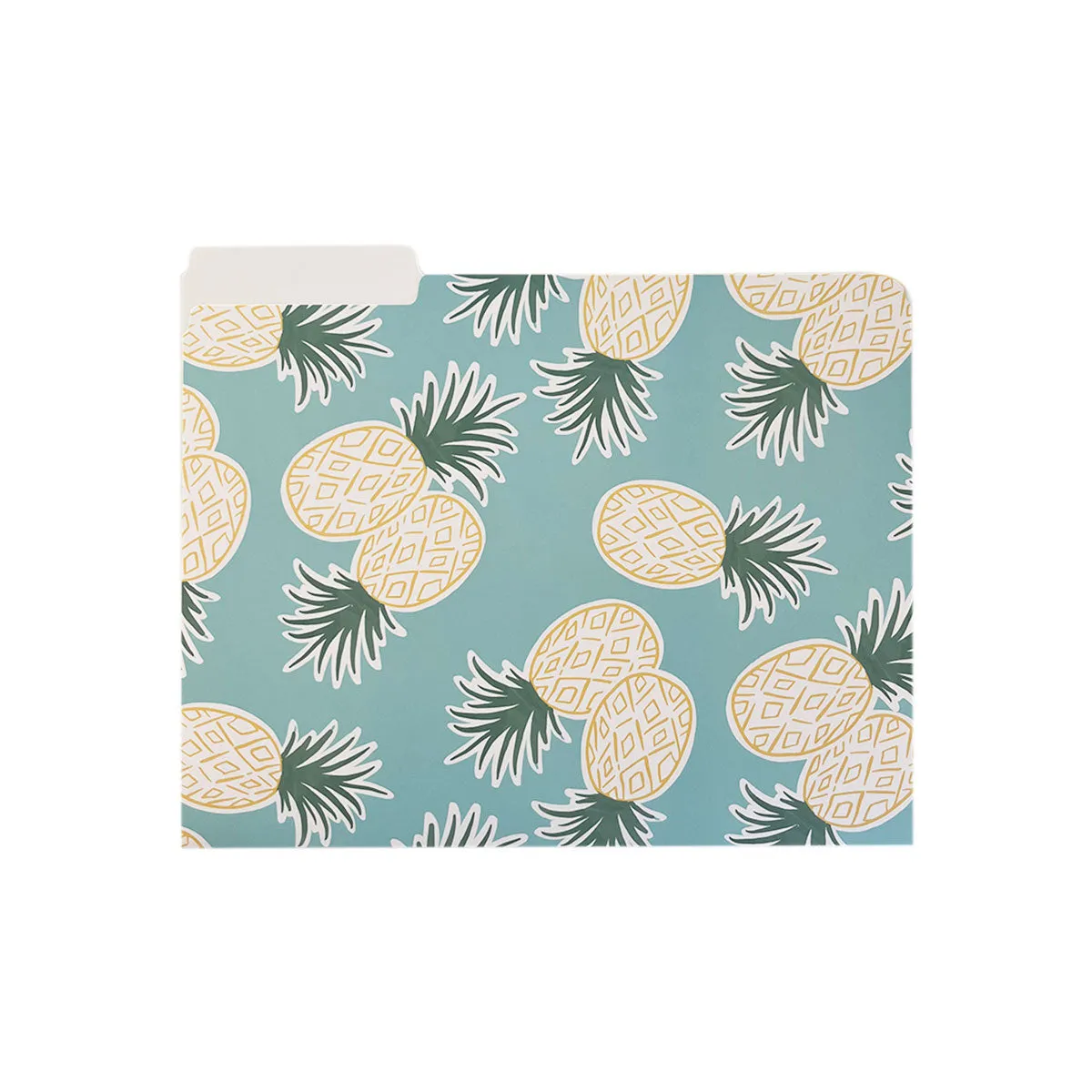 Hawaii Pineapples File Folders, Set of 3