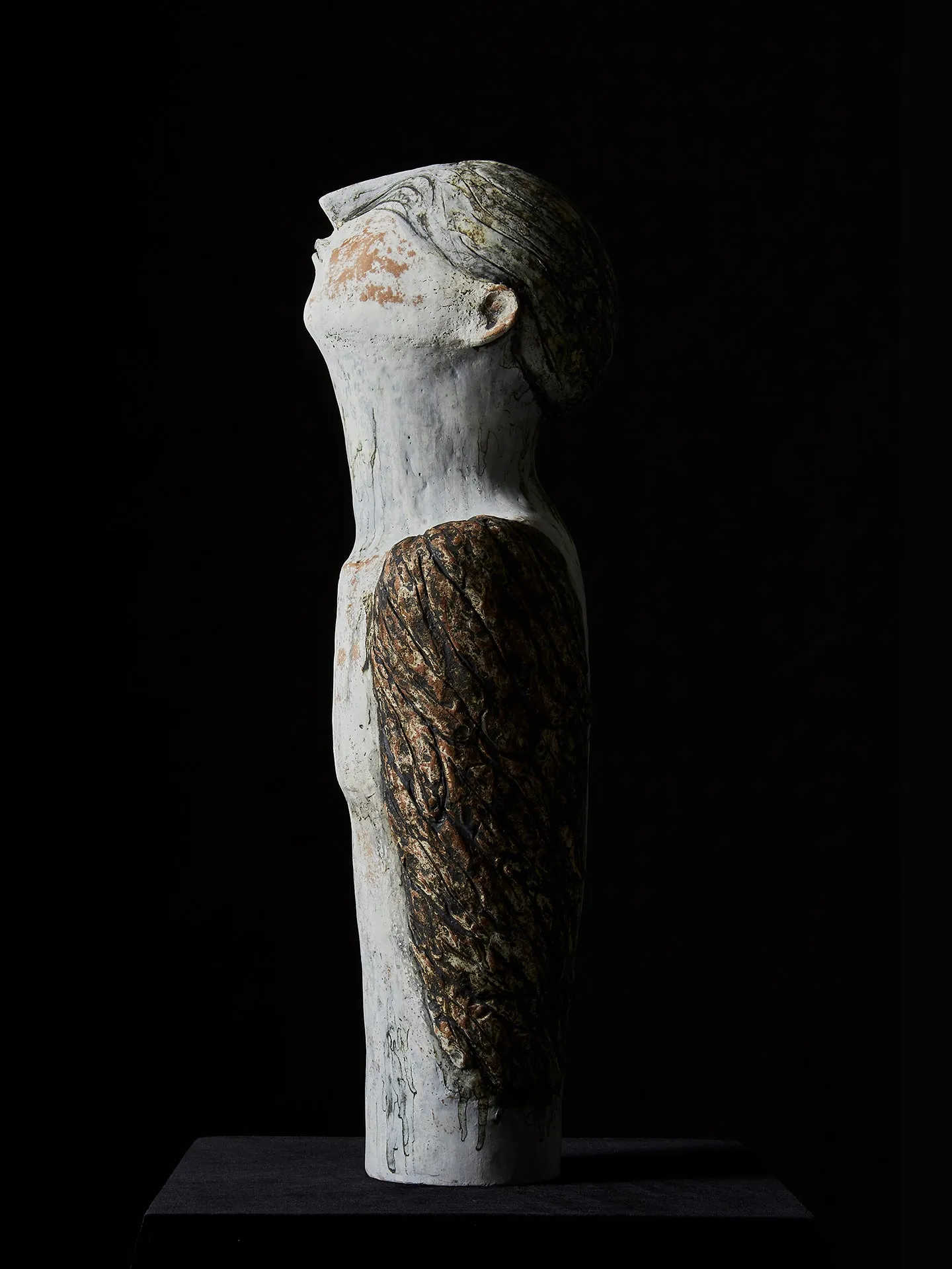 Icarus by Maxine Price