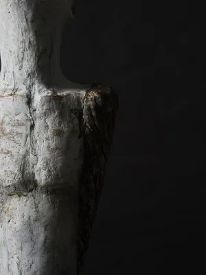 Icarus by Maxine Price