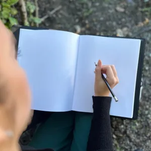 World Tree Sketchbook